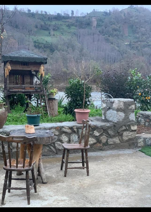 Dere Evi Daire Rize Dış mekan fotoğraf