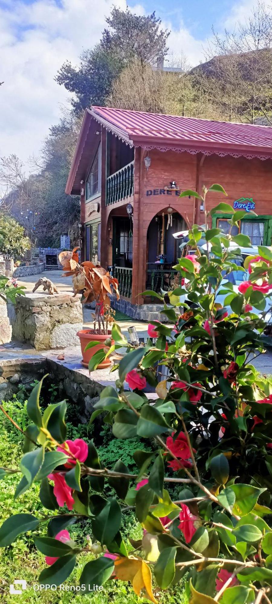Dere Evi Daire Rize Dış mekan fotoğraf