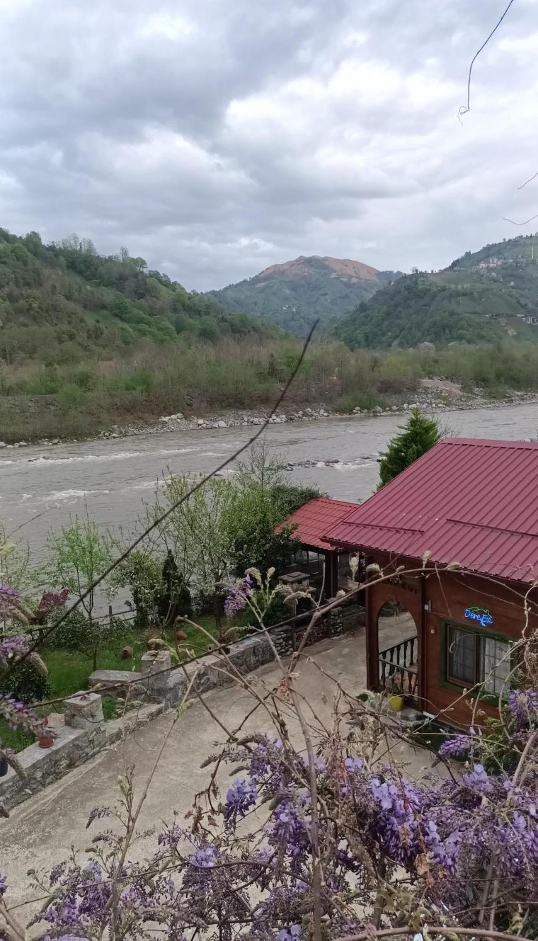 Dere Evi Daire Rize Dış mekan fotoğraf