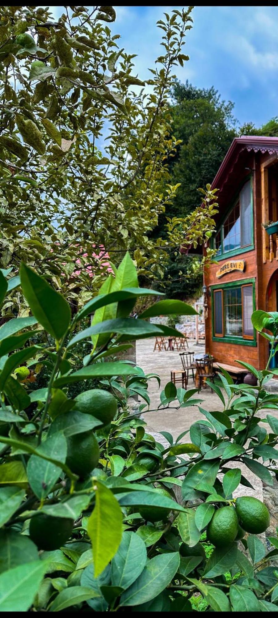 Dere Evi Daire Rize Dış mekan fotoğraf